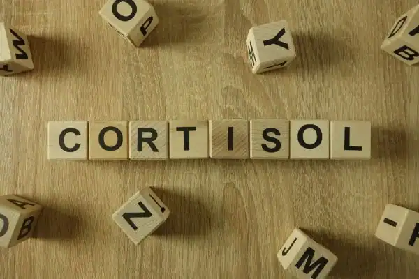 The Hidden Connection: How Stress Shapes Your Fitness and Body Composition 2 Image saying "Cortisol" and how stress Walthams Cross impacts your wellbeing and bodies shape
